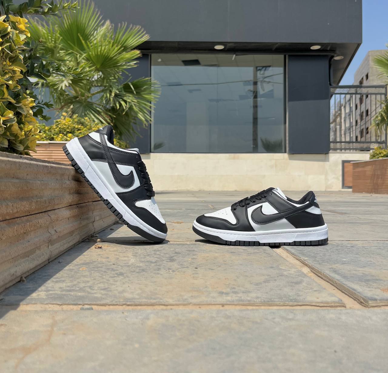 photo_1_2025-08-25_15-52-37